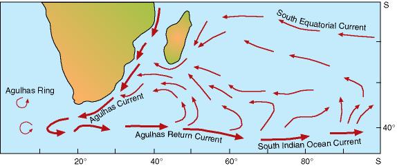 Agulhas return current